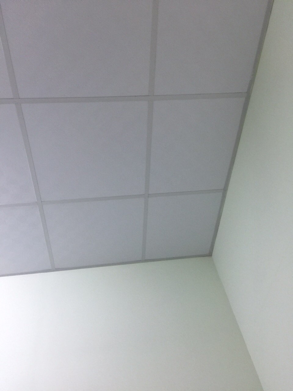 開新視窗鑑賞圖檔：1040824-2b.JPG